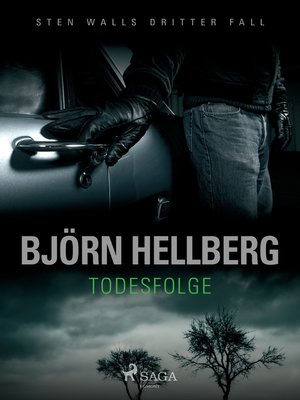 cover image of Todesfolge